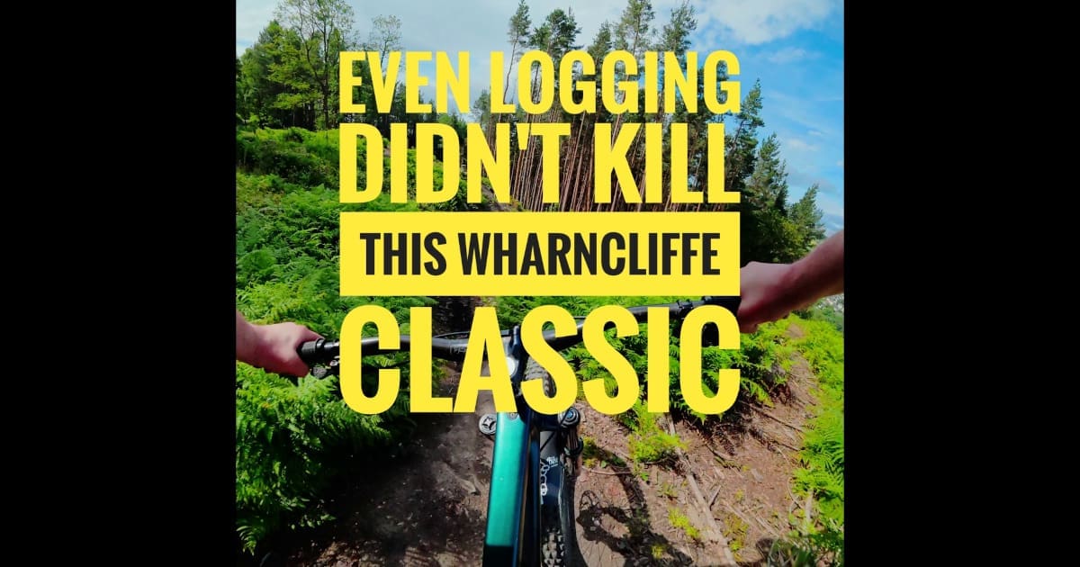 Trail Preview – Dogs Bollocks Wharncliffe Woods