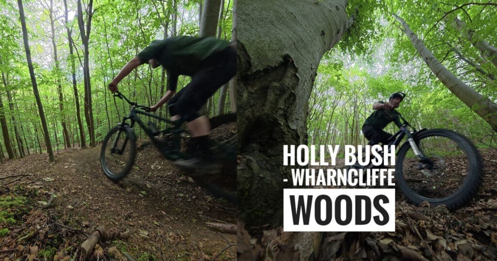 Trail Preview – Hollies Bush Wharncliffe Woods