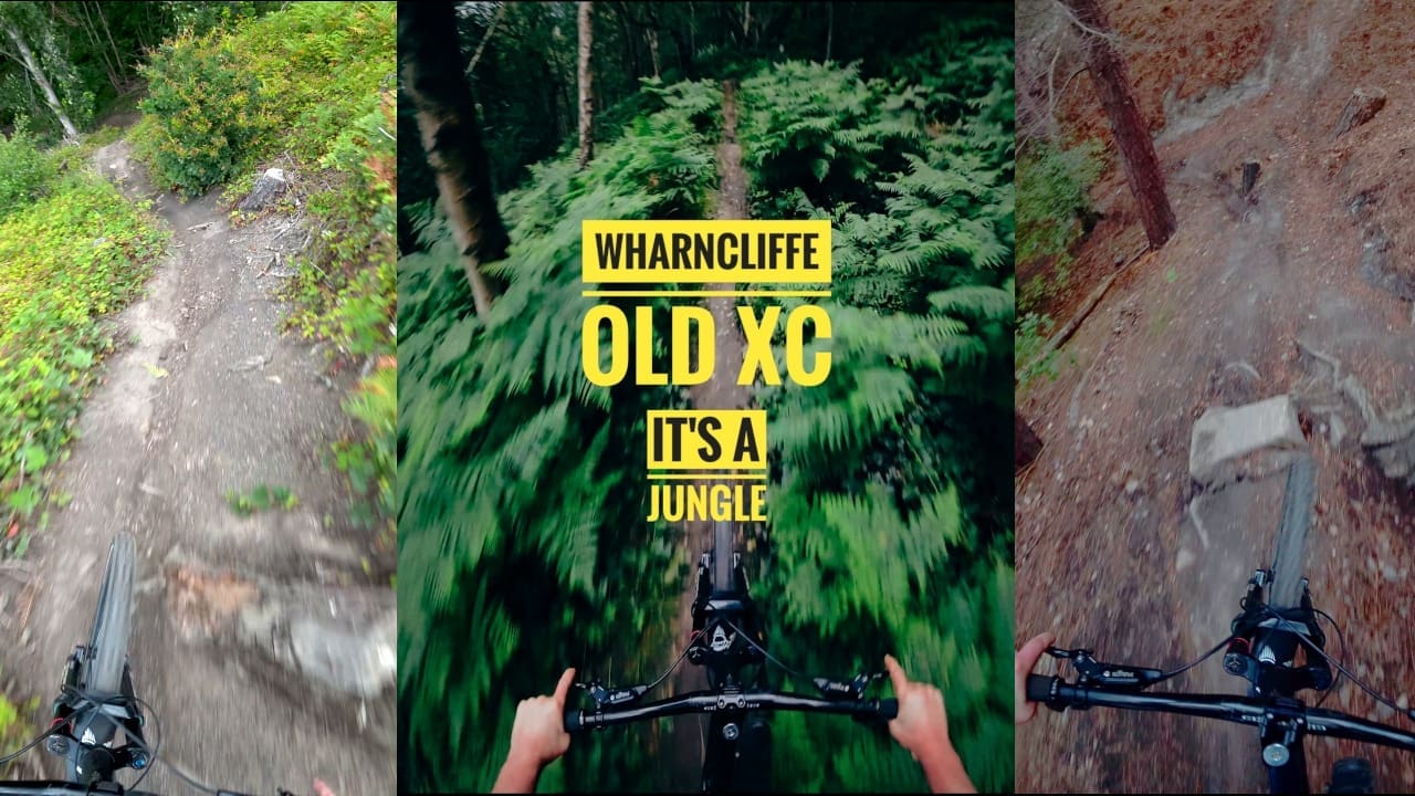 Trail Preview – Old XC Wharncliffe Woods